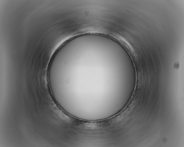 X0000096701182200802261557