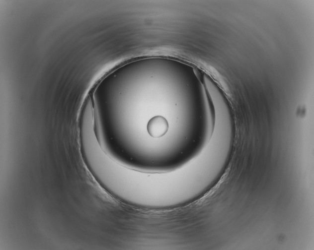 X0000096701184200802261557