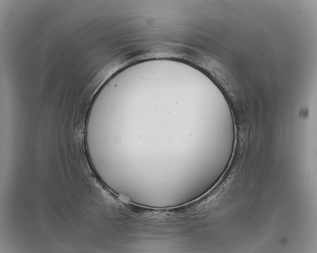 X0000096701185200802261557