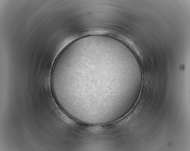 X0000096701186200802261557