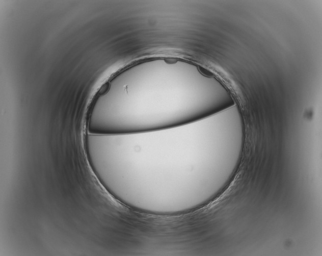 X0000096701188200802261557