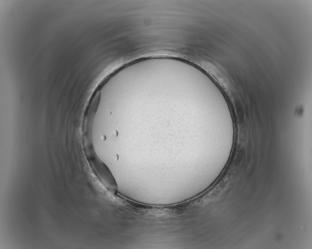 X0000096701189200802261557