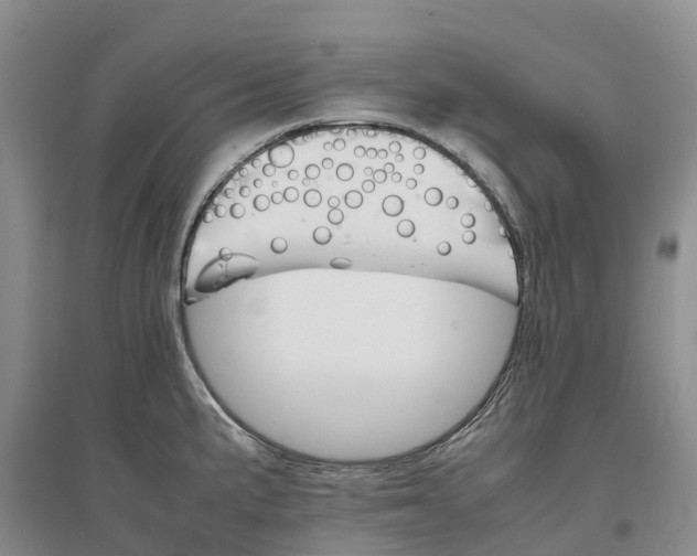 X0000096701191200802261557