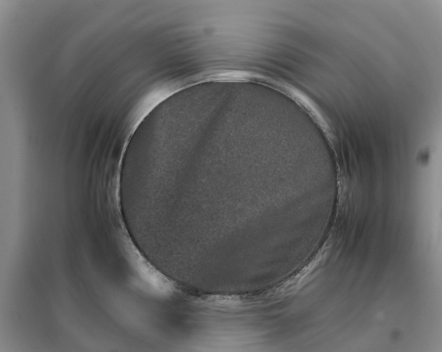 X0000096701194200802261557