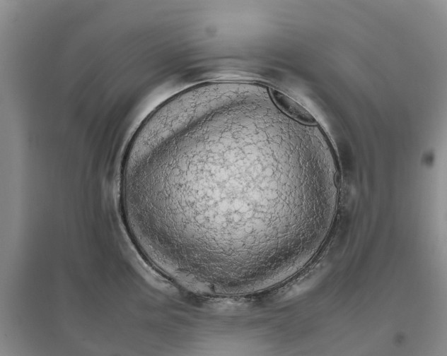 X0000096701195200802261557