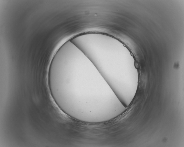 X0000096701199200802261557