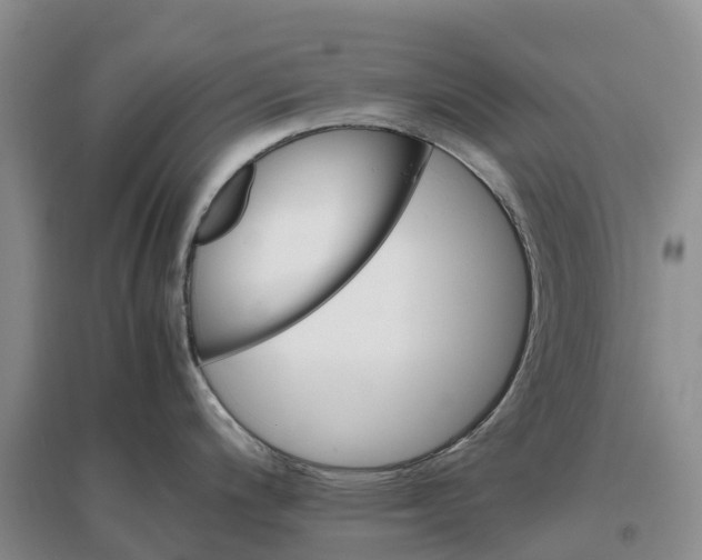 X0000096701200200802261557