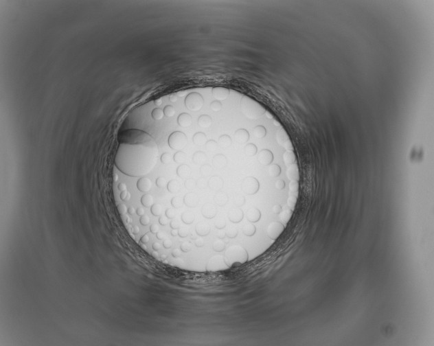 X0000096701201200802261556