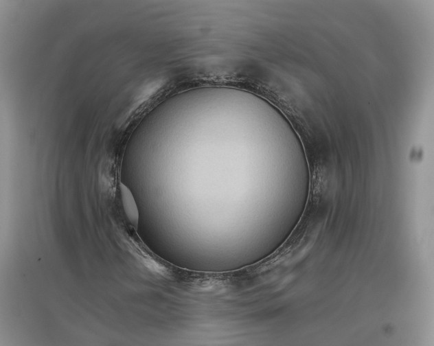 X0000096701202200802261556