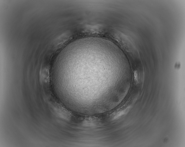 X0000096701203200802261556