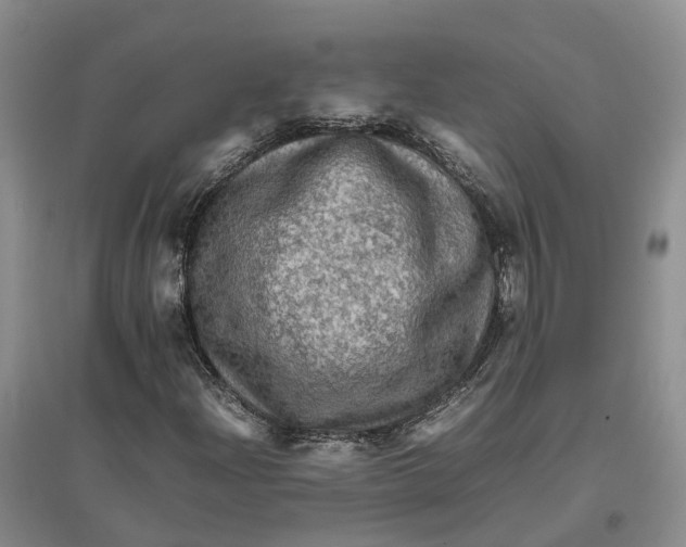 X0000096701204200802261556