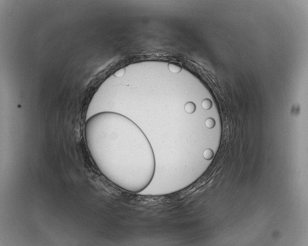 X0000096701205200802261556
