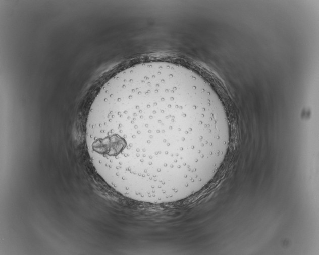 X0000096701207200802261556