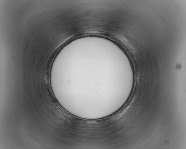 X0000096701209200802261556