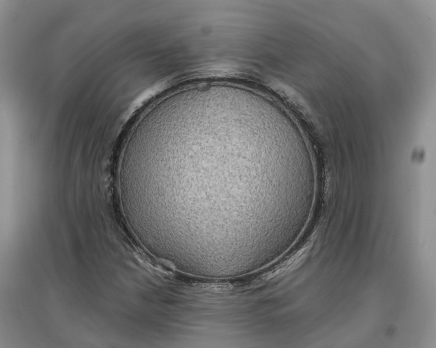 X0000096701210200802261556