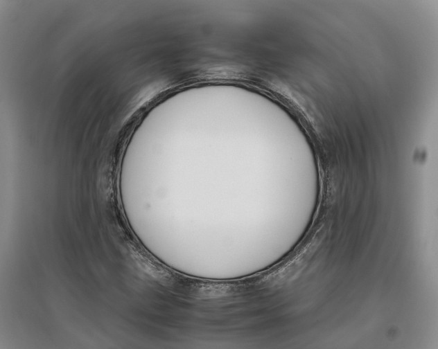 X0000096701211200802261556