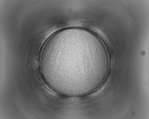X0000096701212200802261556