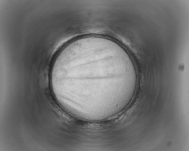 X0000096701214200802261556