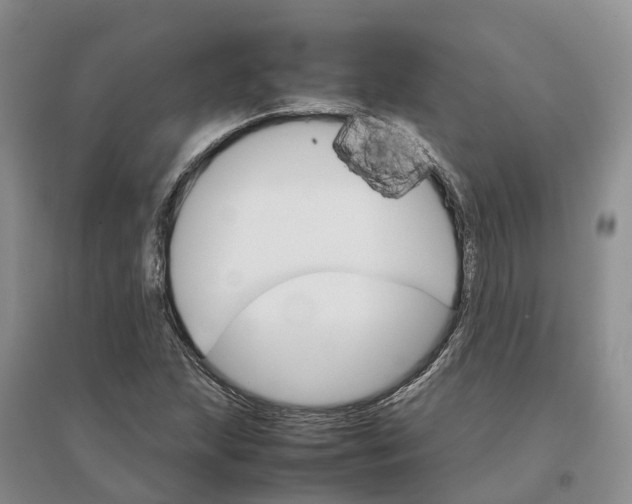 X0000096701215200802261556