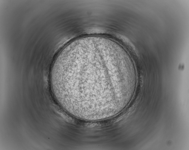 X0000096701217200802261557