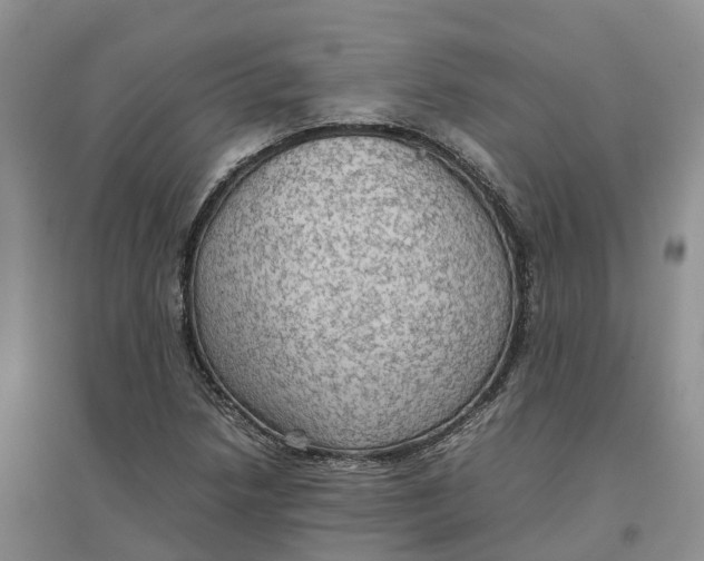 X0000096701218200802261557