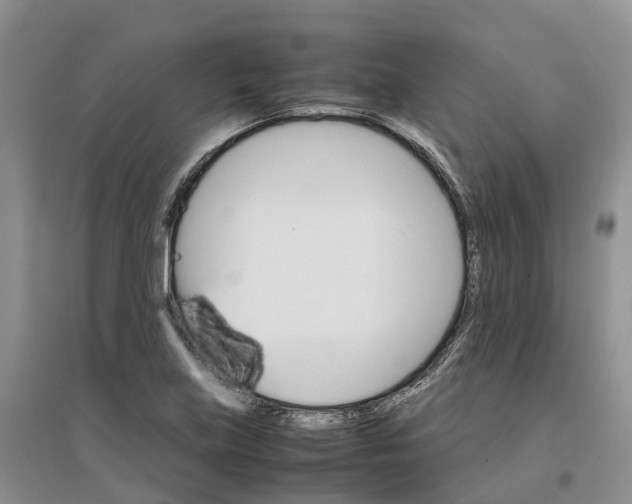 X0000096701219200802261557