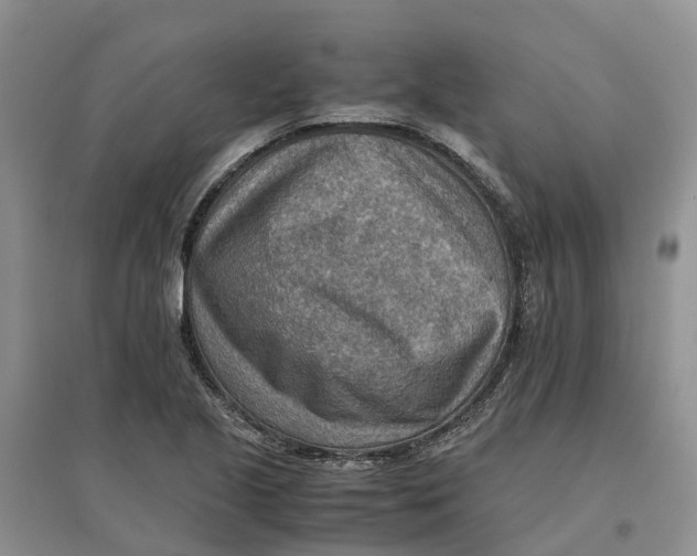 X0000096701221200802261557