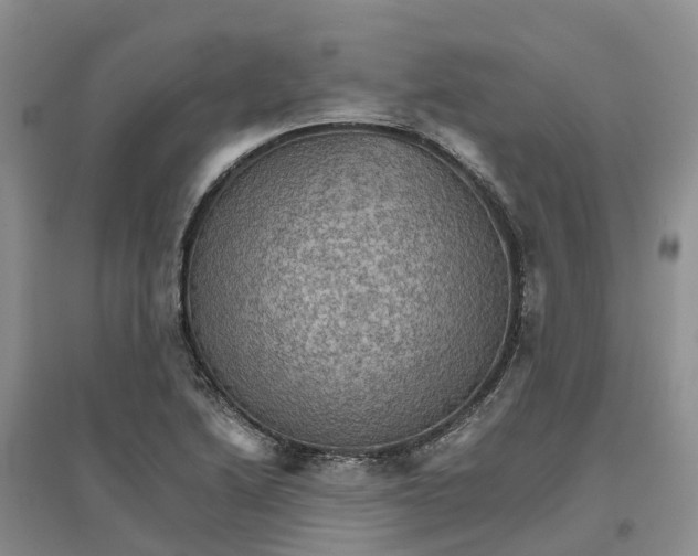 X0000096701222200802261557