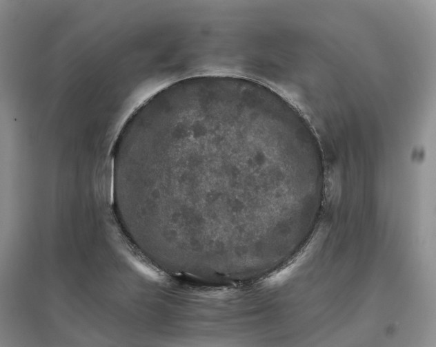 X0000096701223200802261557