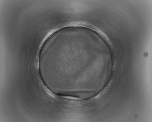 X0000096701224200802261557