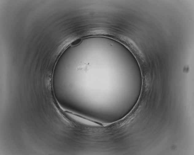 X0000096701225200802261557