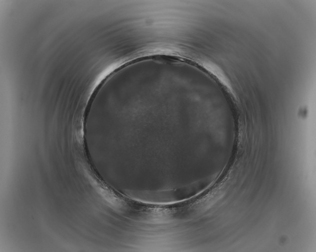 X0000096701226200802261557