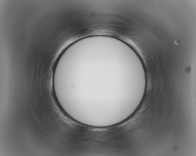 X0000096701227200802261557