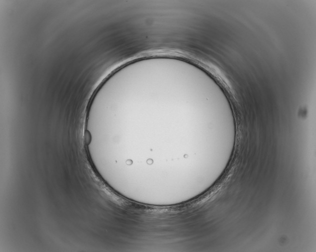 X0000096701228200802261557