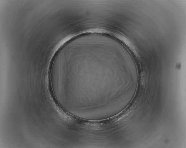X0000096701229200802261557