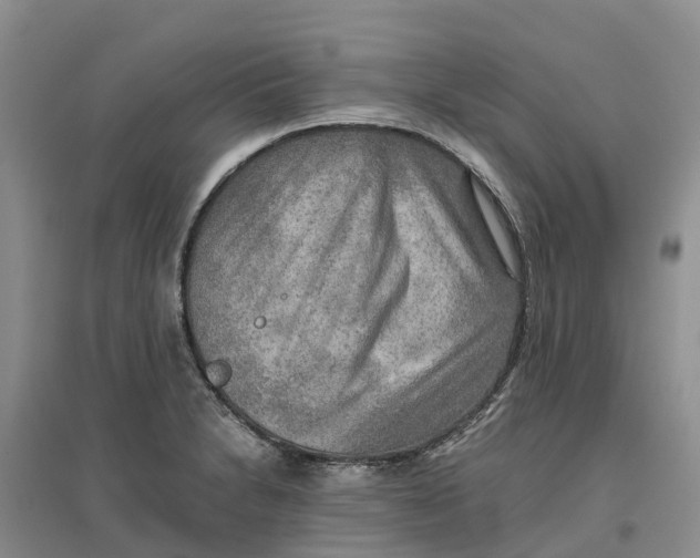 X0000096701230200802261557