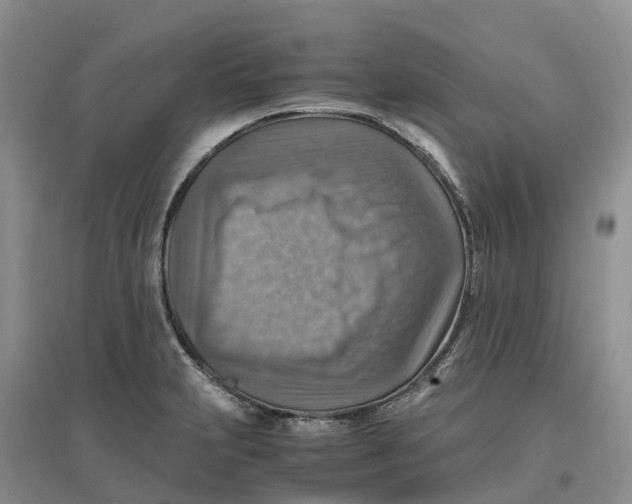 X0000096701231200802261557