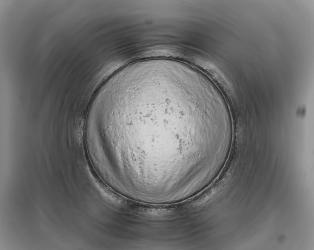 X0000096701233200802261557