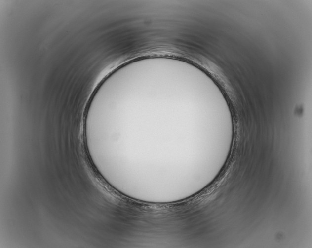 X0000096701234200802261557