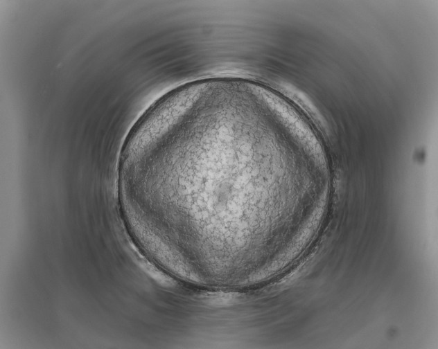X0000096701236200802261557
