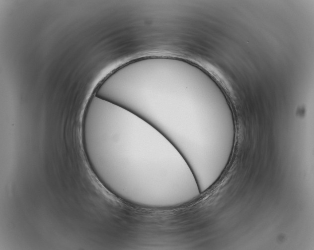 X0000096701238200802261557