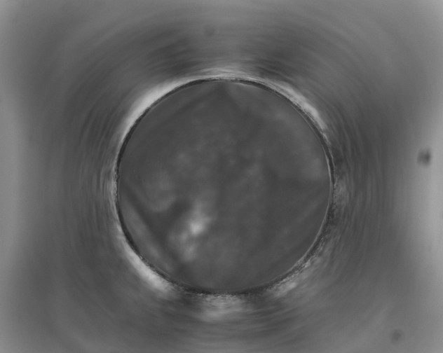 X0000096701239200802261557