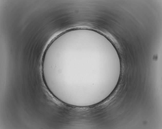 X0000096701240200802261557