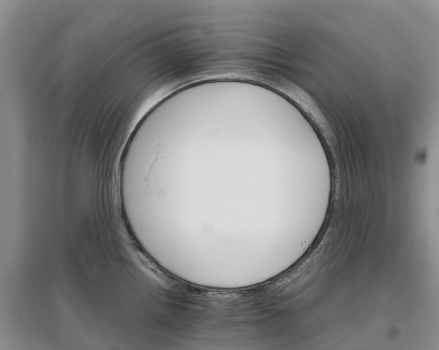 X0000096701242200802261557
