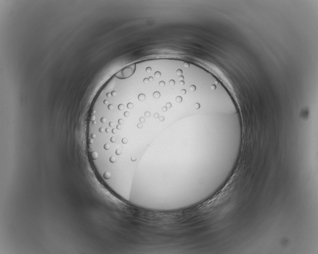 X0000096701243200802261557