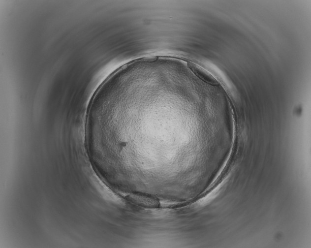 X0000096701244200802261557