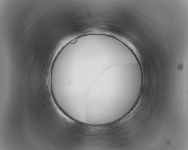X0000096701247200802261557
