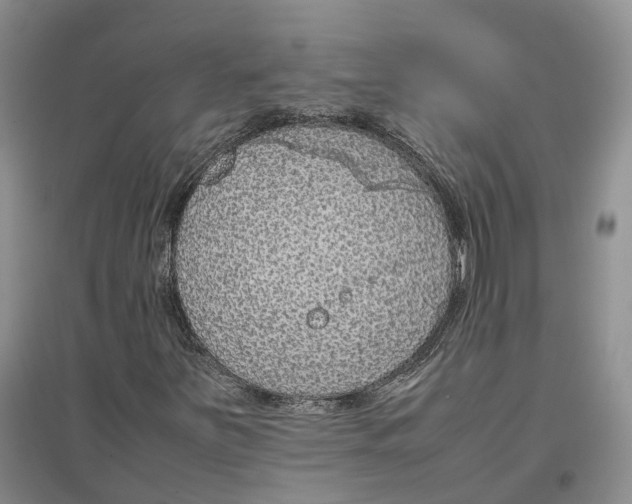 X0000096701251200802261556