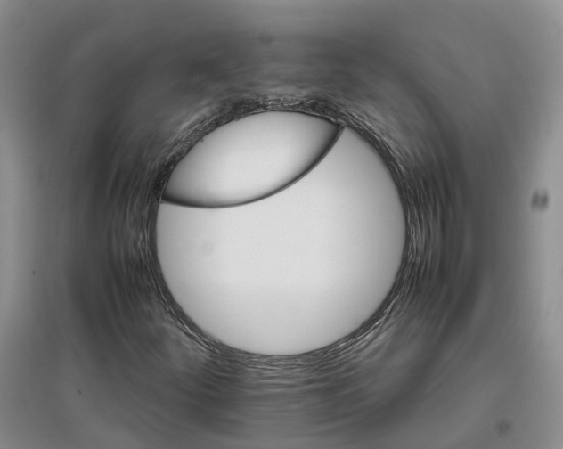 X0000096701252200802261556