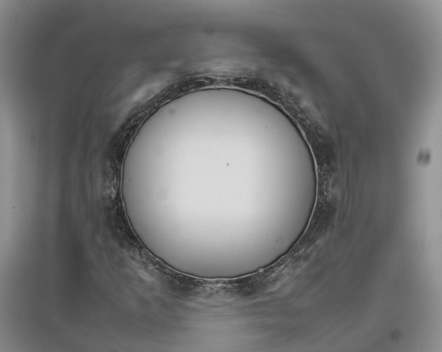 X0000096701253200802261556